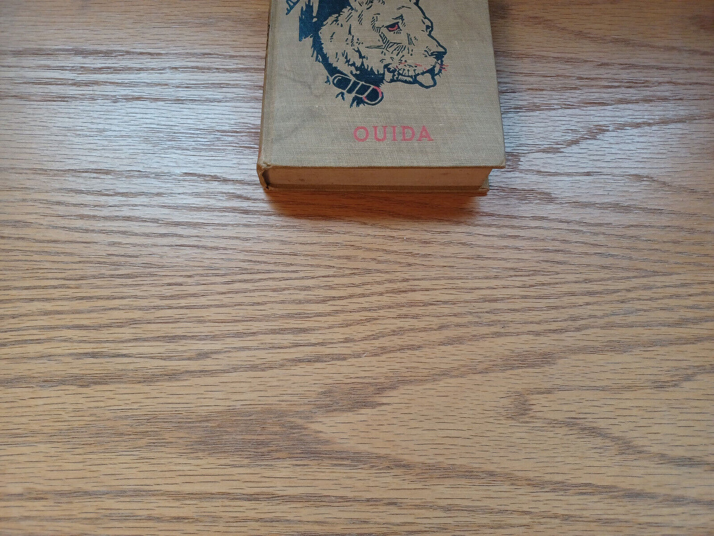 A Dog Of Flanders By Luisa De La Rame 1914