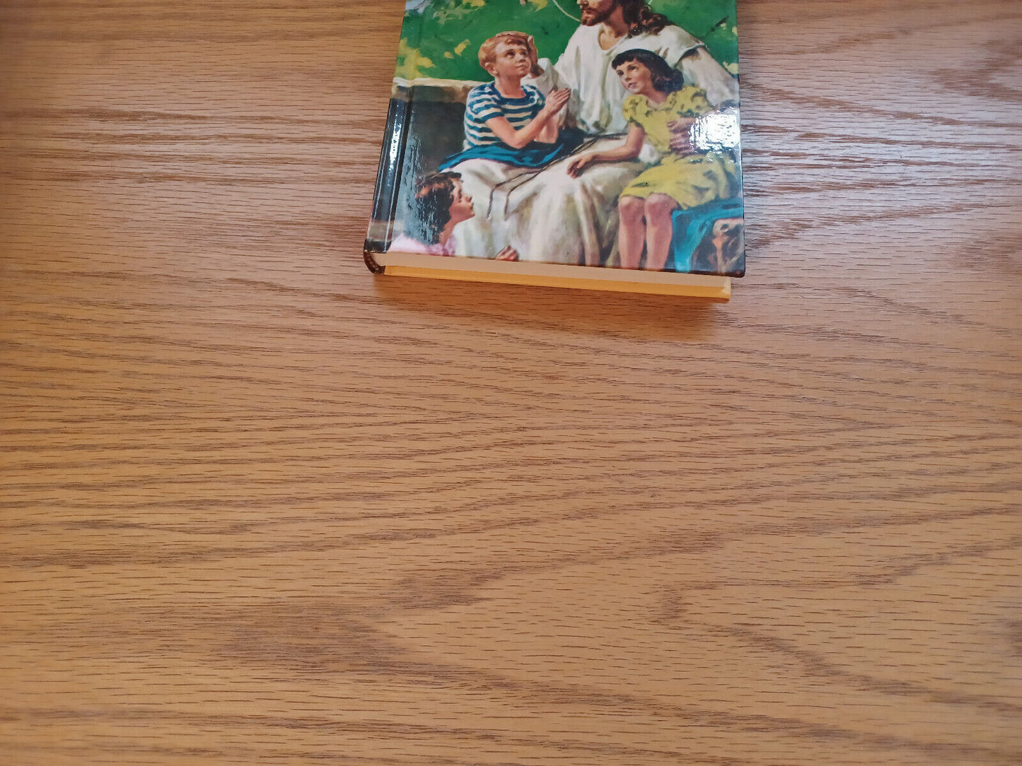 New Catholic Picture Bible Lawrence G Lovasik 1990