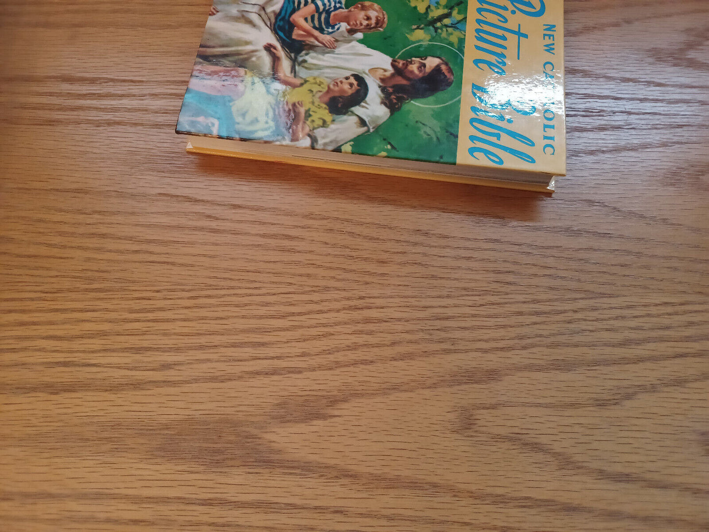 New Catholic Picture Bible Lawrence G Lovasik 1990