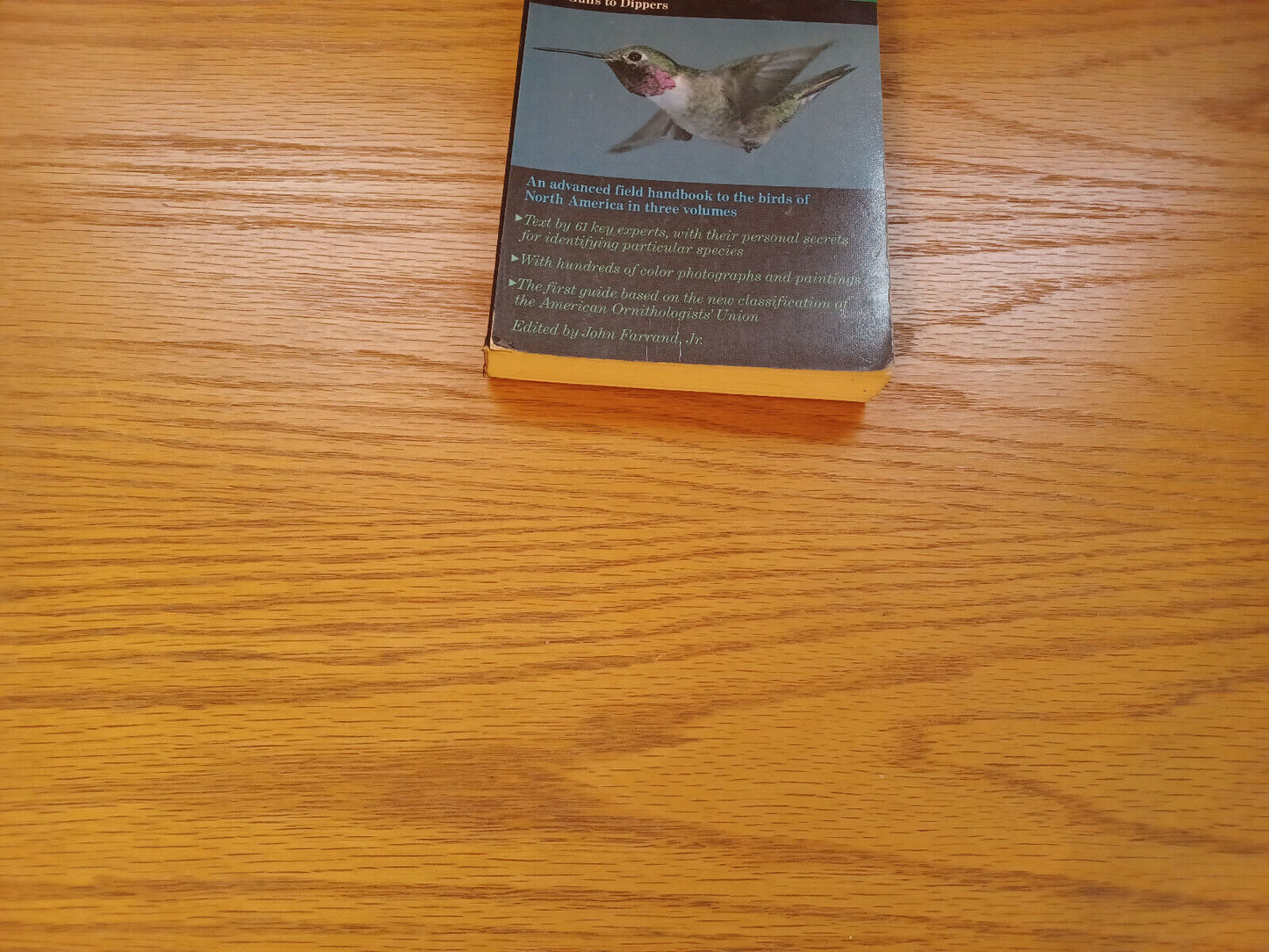 The Audubon Society Master Guide To Birding 2 Gulls To Dippers 1983