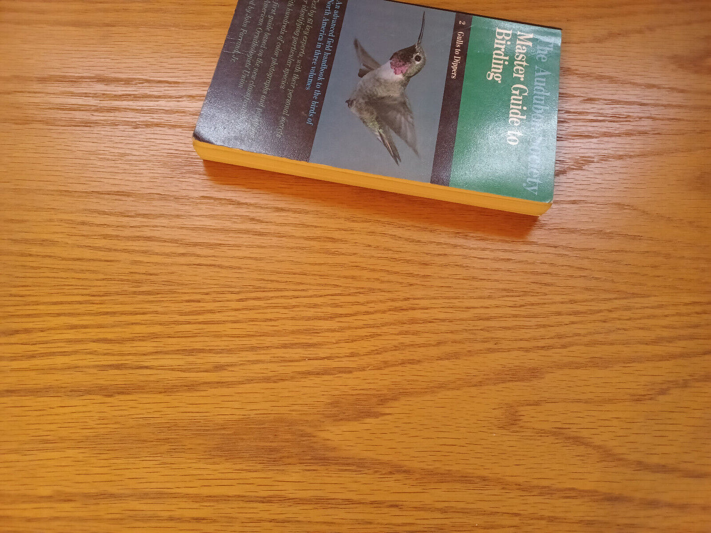 The Audubon Society Master Guide To Birding 2 Gulls To Dippers 1983