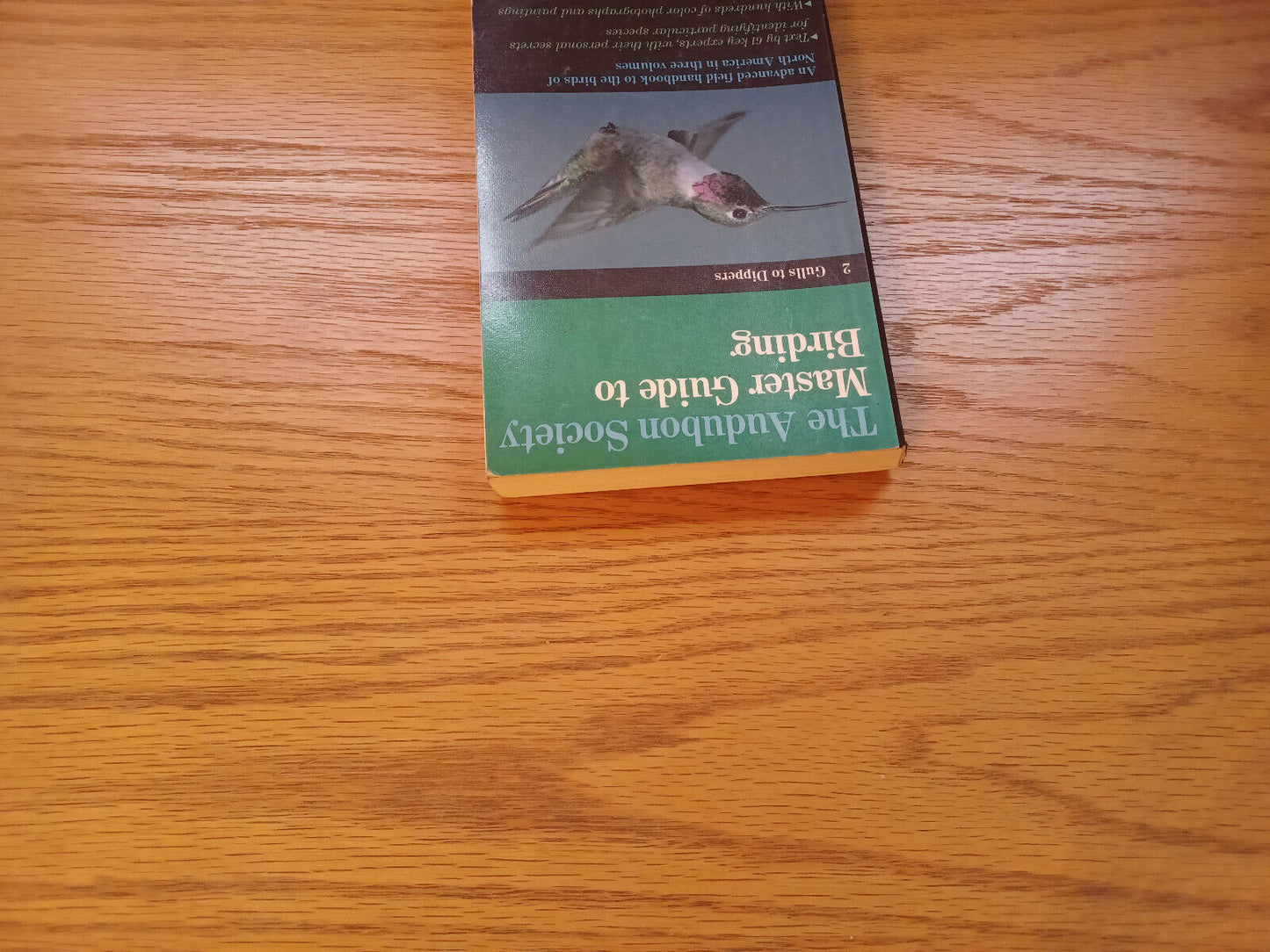 The Audubon Society Master Guide To Birding 2 Gulls To Dippers 1983