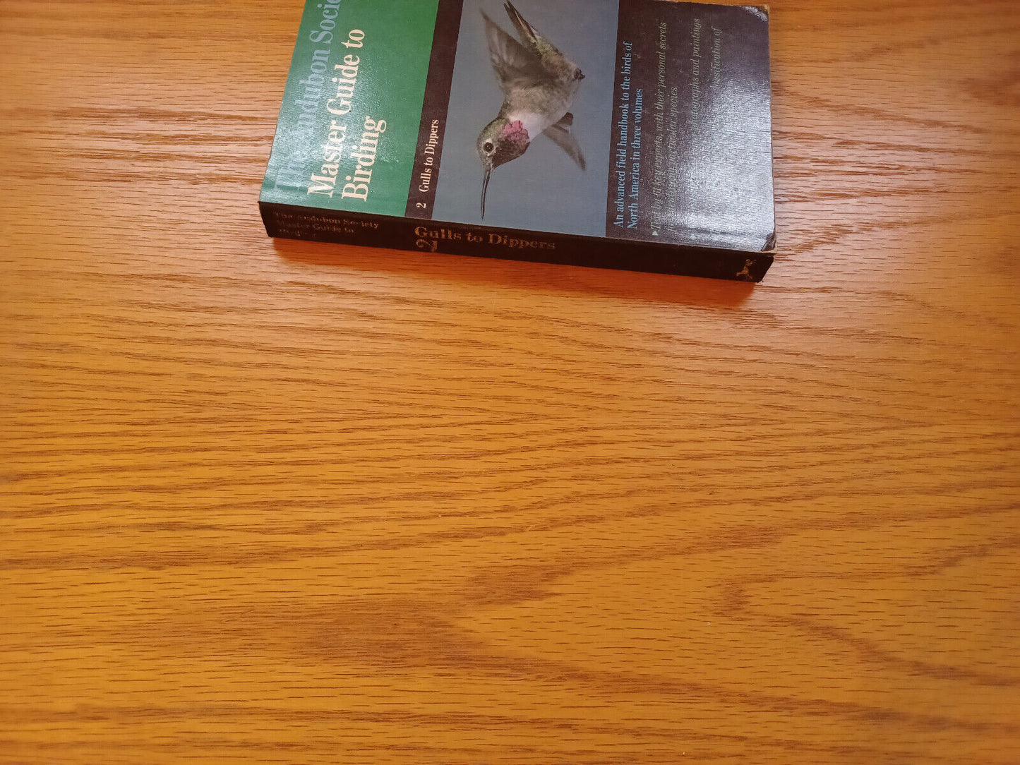 The Audubon Society Master Guide To Birding 2 Gulls To Dippers 1983