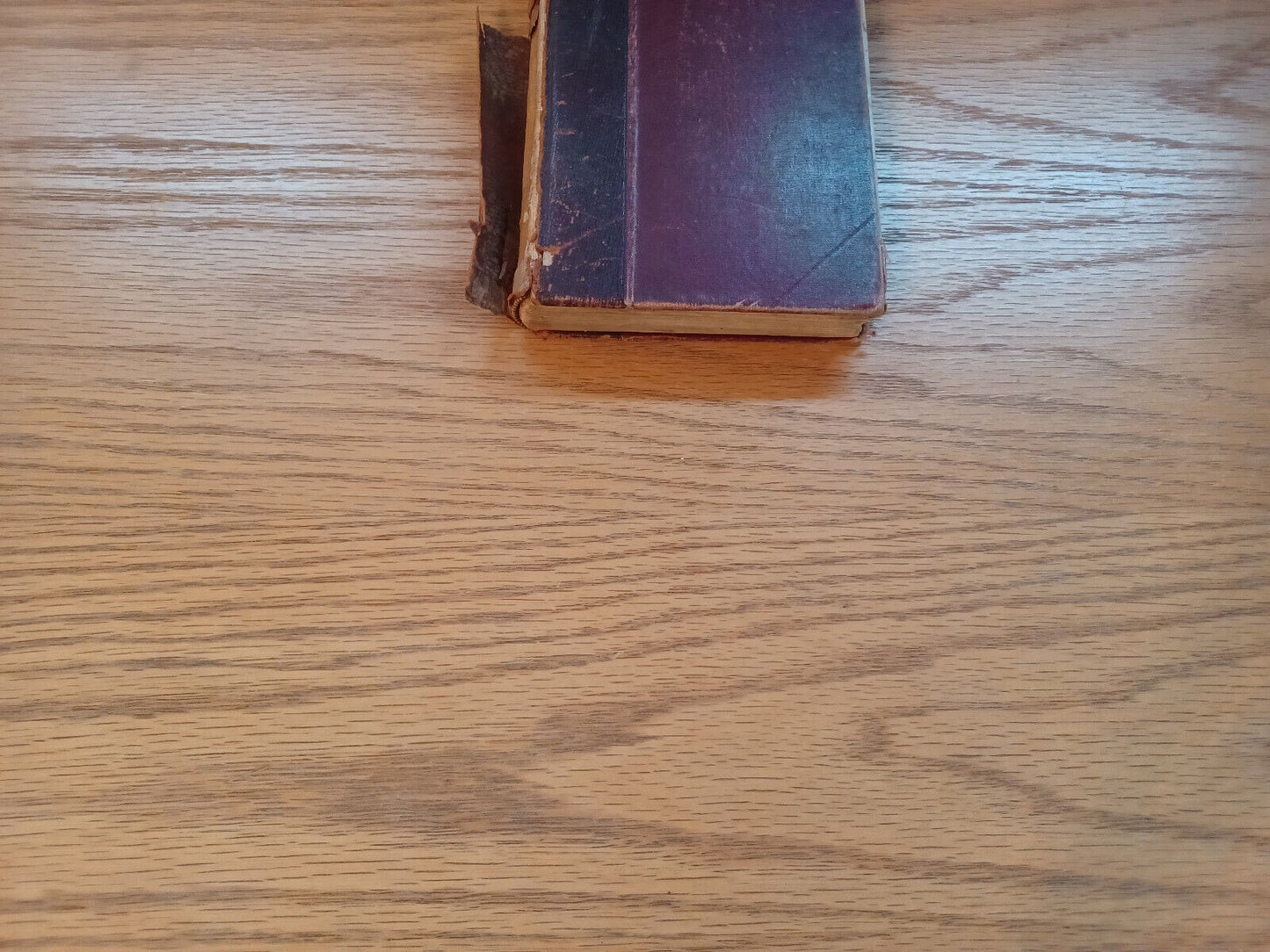 A Christmas Carol And The Cricket On The Hearth Charles Dickens 1893