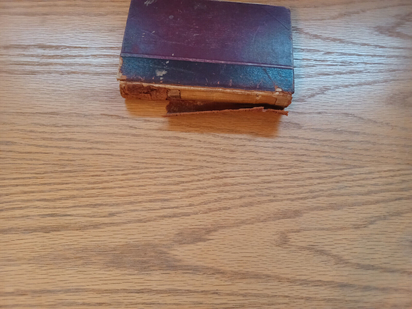 A Christmas Carol And The Cricket On The Hearth Charles Dickens 1893