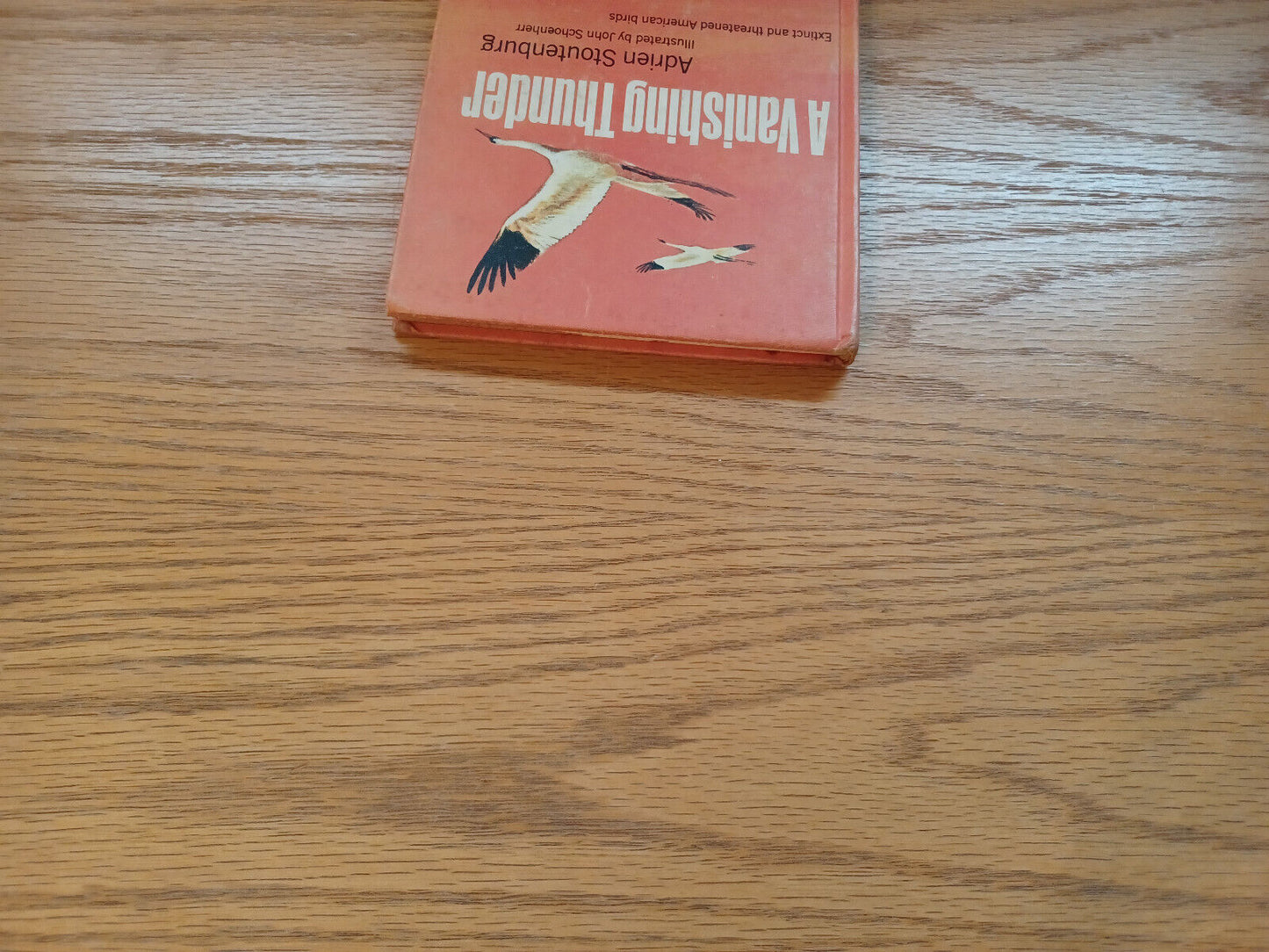 A Vanishing Thunder Adrien Stoutenburg 1967