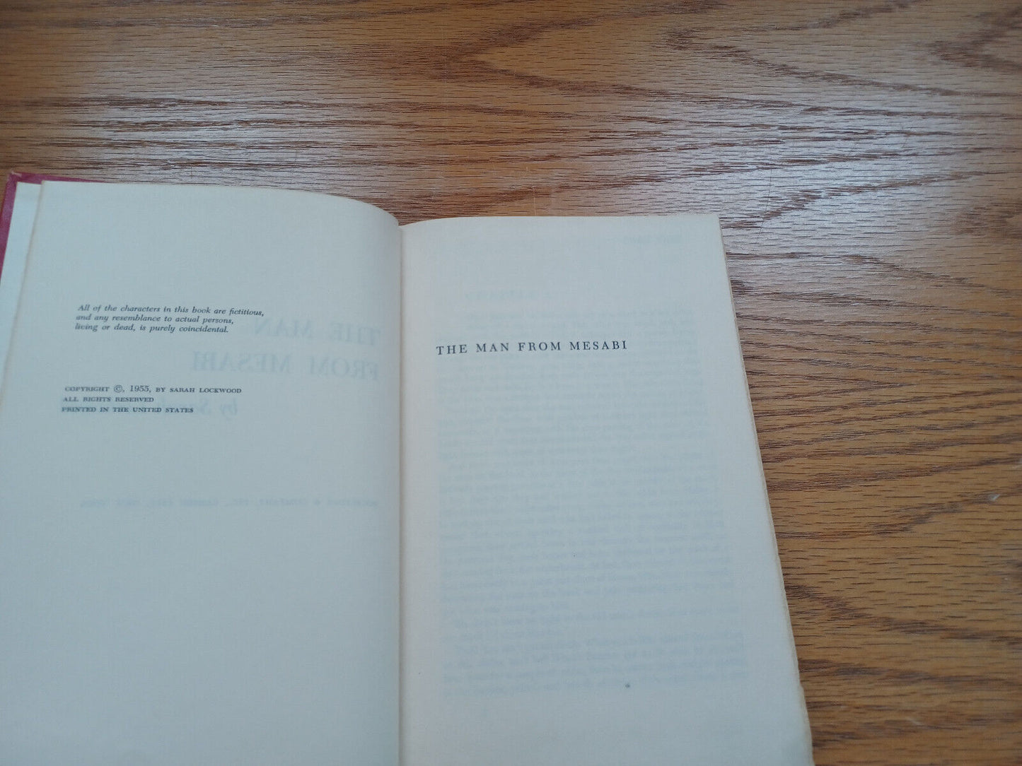 The Man From Mesabi By Sarah Lockwood 1955