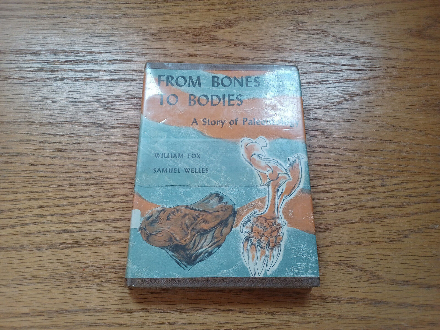 From Bones To Bodies A Story Of Paleontology By William Fox 1959 Dust Jacket
