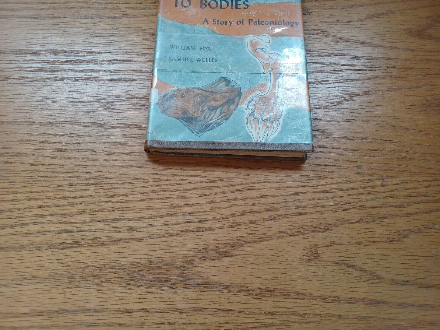 From Bones To Bodies A Story Of Paleontology By William Fox 1959 Dust Jacket