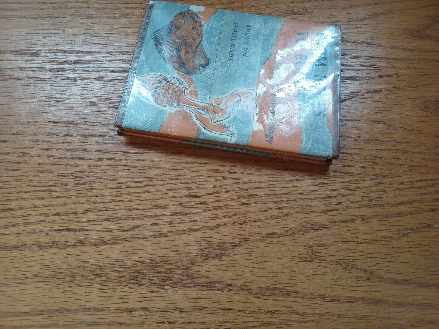 From Bones To Bodies A Story Of Paleontology By William Fox 1959 Dust Jacket