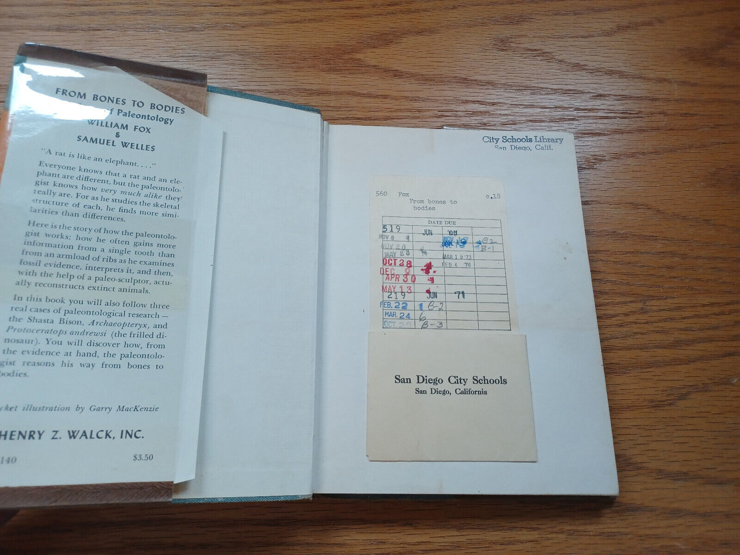 From Bones To Bodies A Story Of Paleontology By William Fox 1959 Dust Jacket