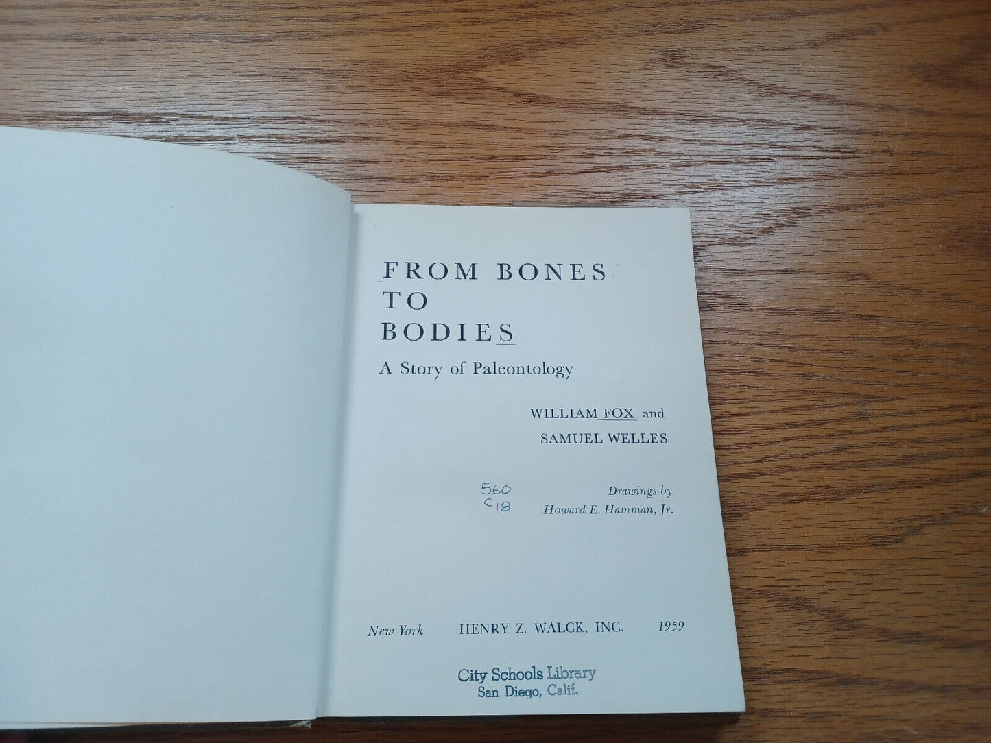 From Bones To Bodies A Story Of Paleontology By William Fox 1959 Dust Jacket