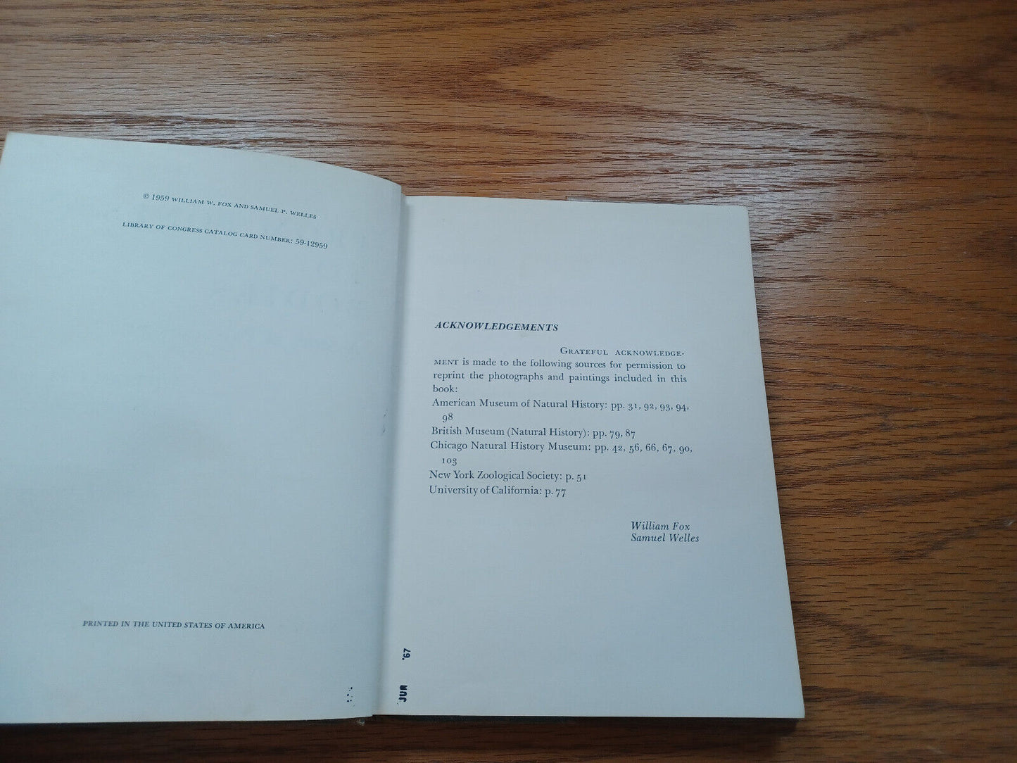 From Bones To Bodies A Story Of Paleontology By William Fox 1959 Dust Jacket