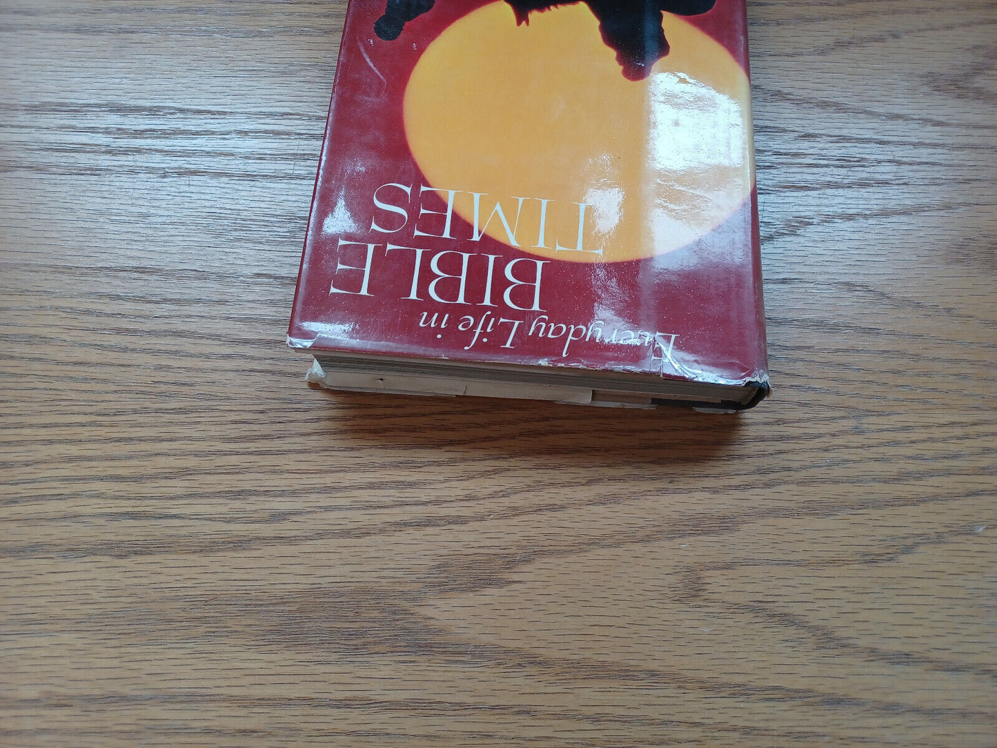 Everyday Life In Bible Times By Merle Severy 1967 Dust Jacket