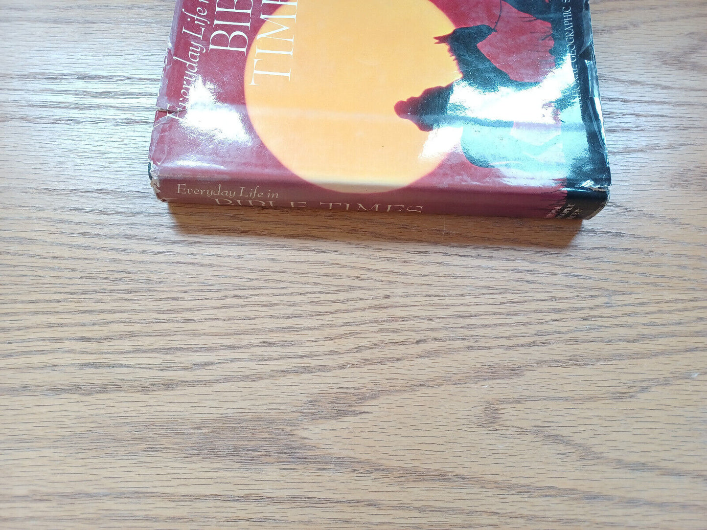 Everyday Life In Bible Times By Merle Severy 1967 Dust Jacket