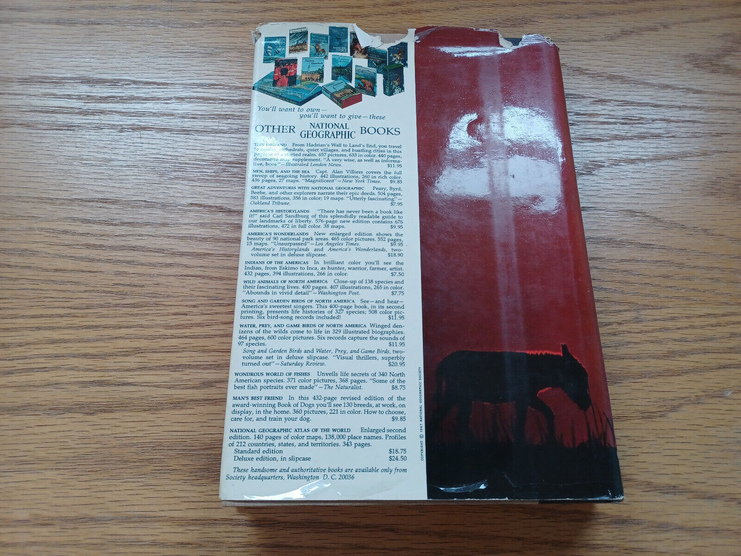 Everyday Life In Bible Times By Merle Severy 1967 Dust Jacket