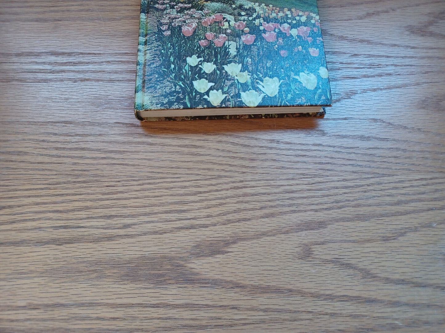 New Illustrated Encyclopedia Of Gardening Unabridged Vol 1 Th Everett 1967