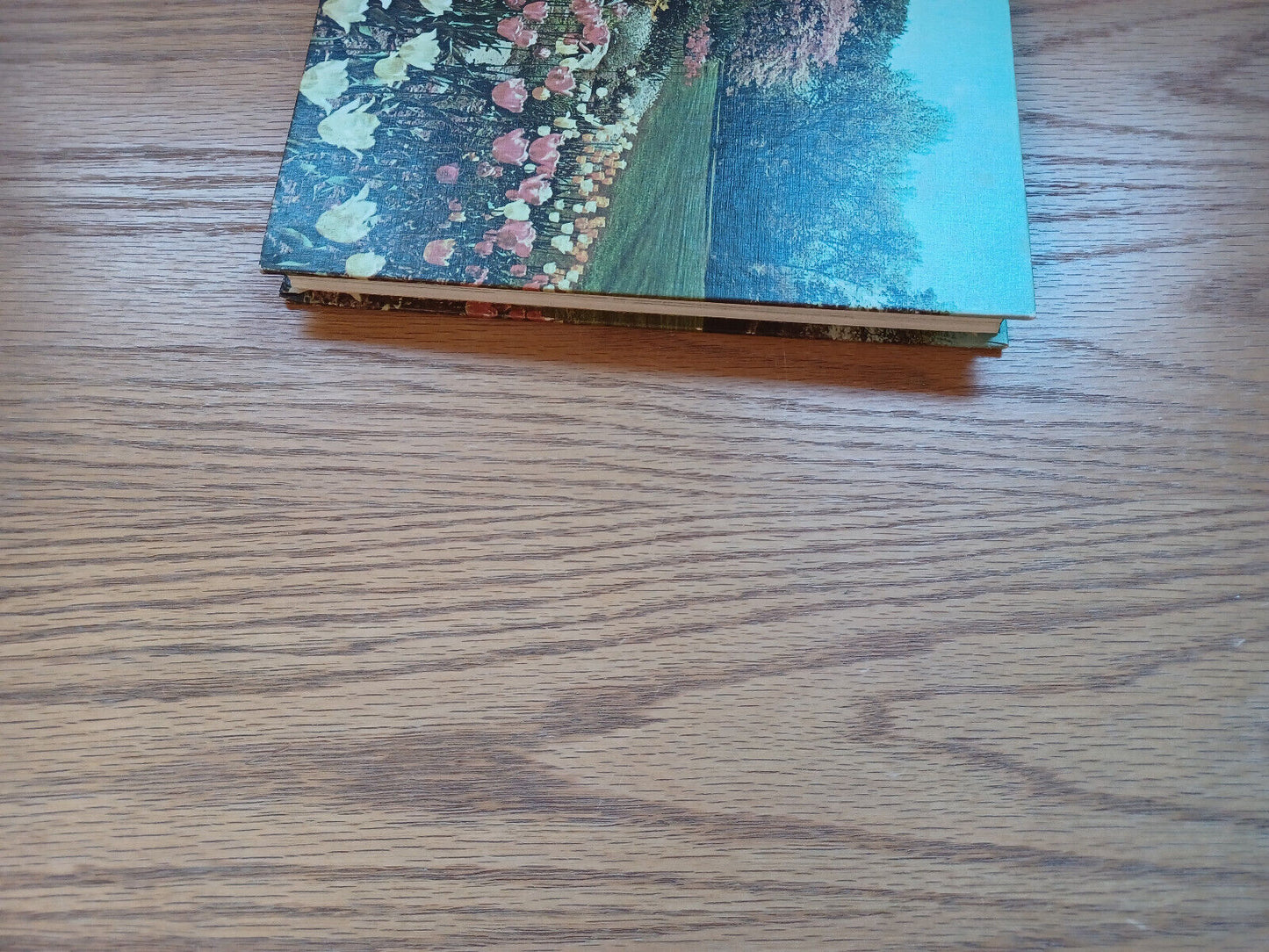 New Illustrated Encyclopedia Of Gardening Unabridged Vol 1 Th Everett 1967