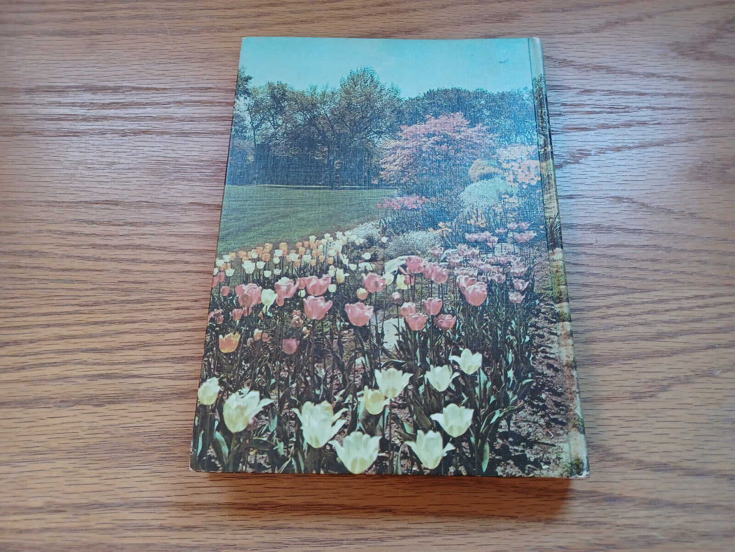 New Illustrated Encyclopedia Of Gardening Unabridged Vol 1 Th Everett 1967