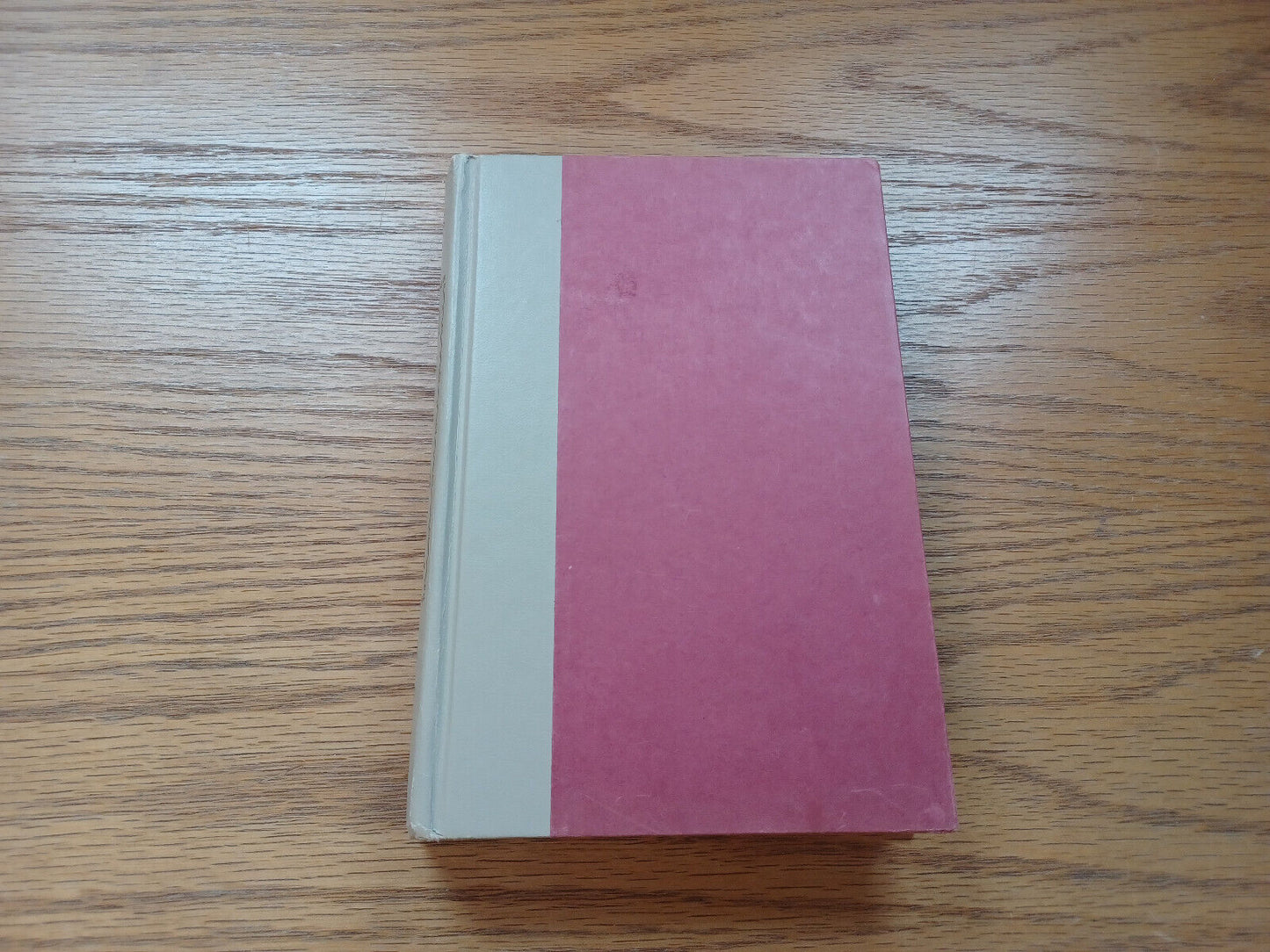 Princess Pamela Being The Personal Journal Of Miss Pamela Summerfield 1979