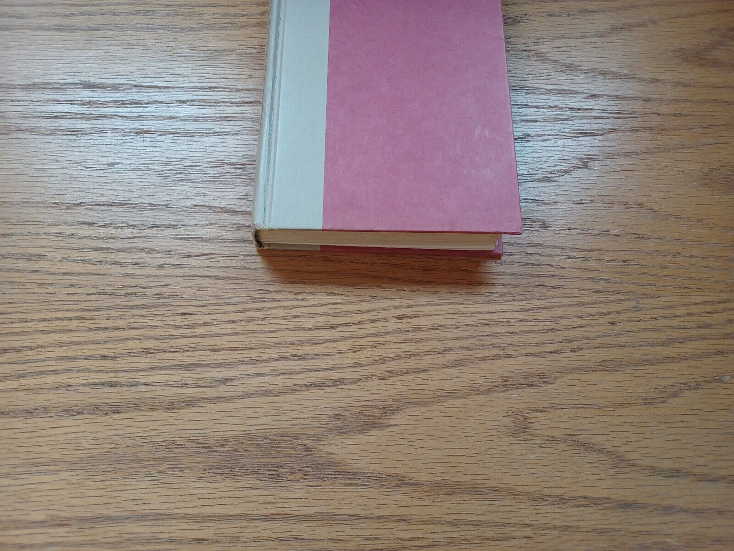 Princess Pamela Being The Personal Journal Of Miss Pamela Summerfield 1979