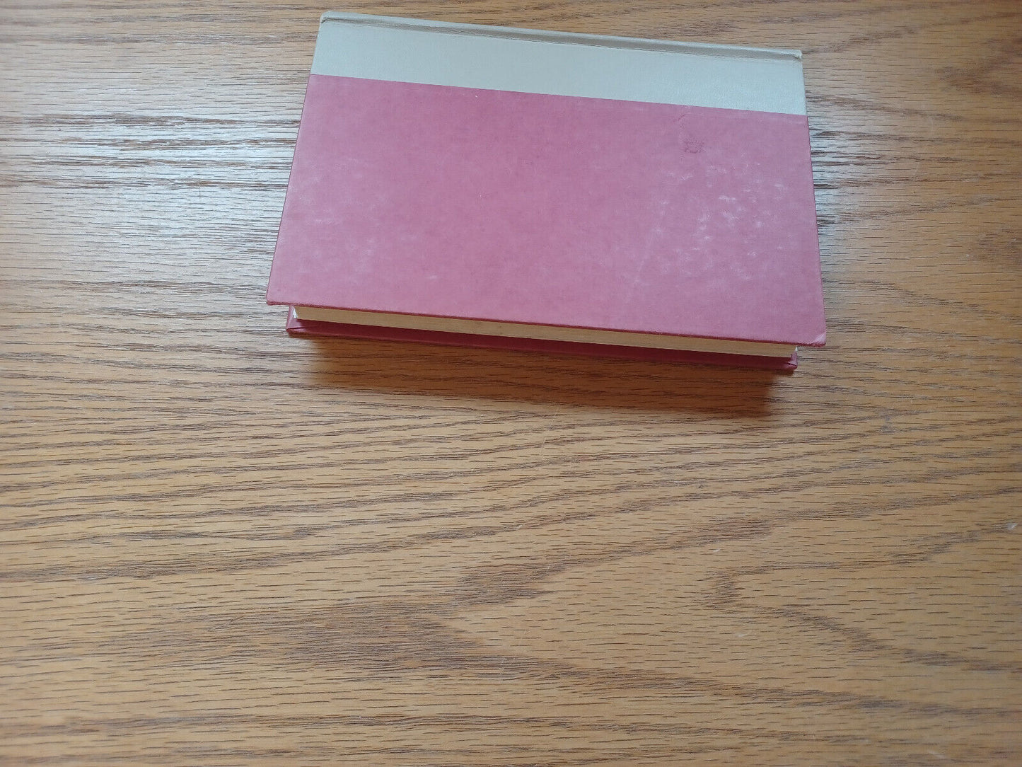 Princess Pamela Being The Personal Journal Of Miss Pamela Summerfield 1979