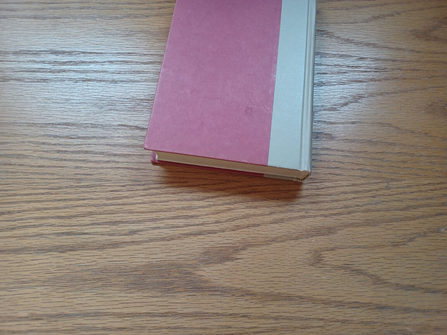 Princess Pamela Being The Personal Journal Of Miss Pamela Summerfield 1979