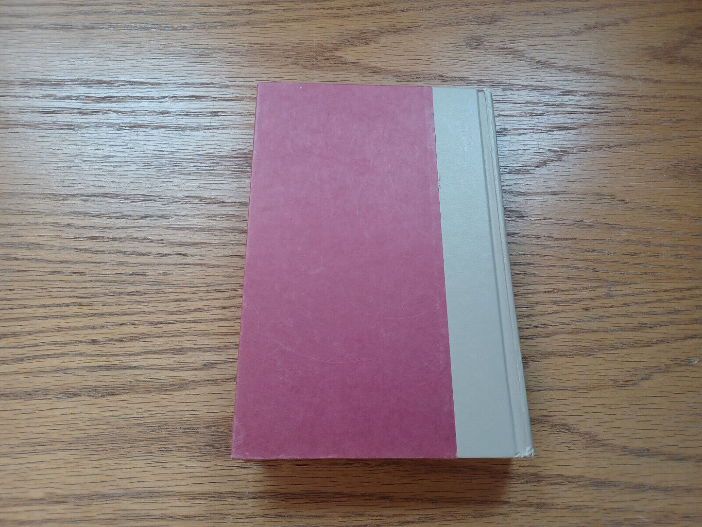 Princess Pamela Being The Personal Journal Of Miss Pamela Summerfield 1979