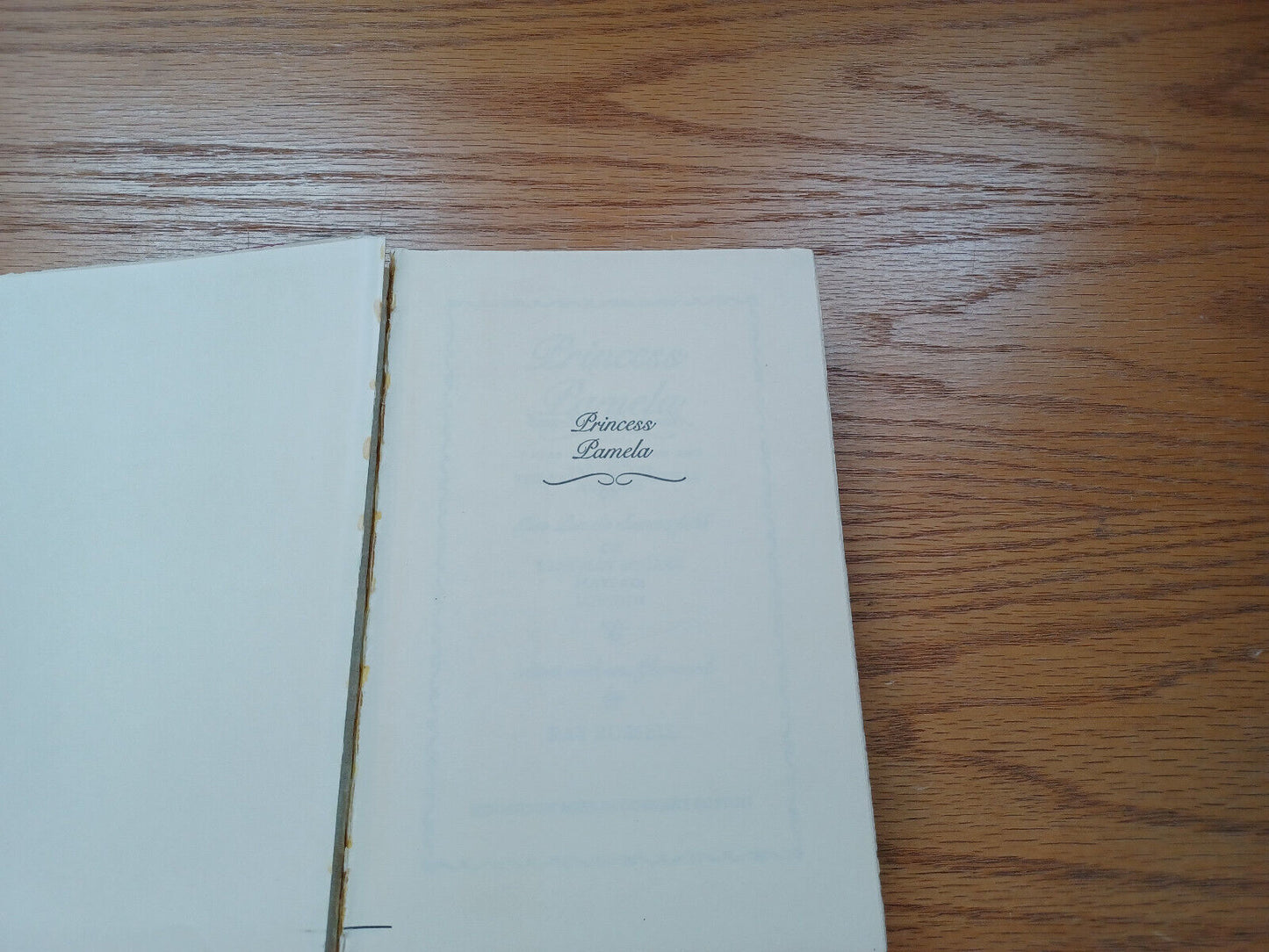 Princess Pamela Being The Personal Journal Of Miss Pamela Summerfield 1979