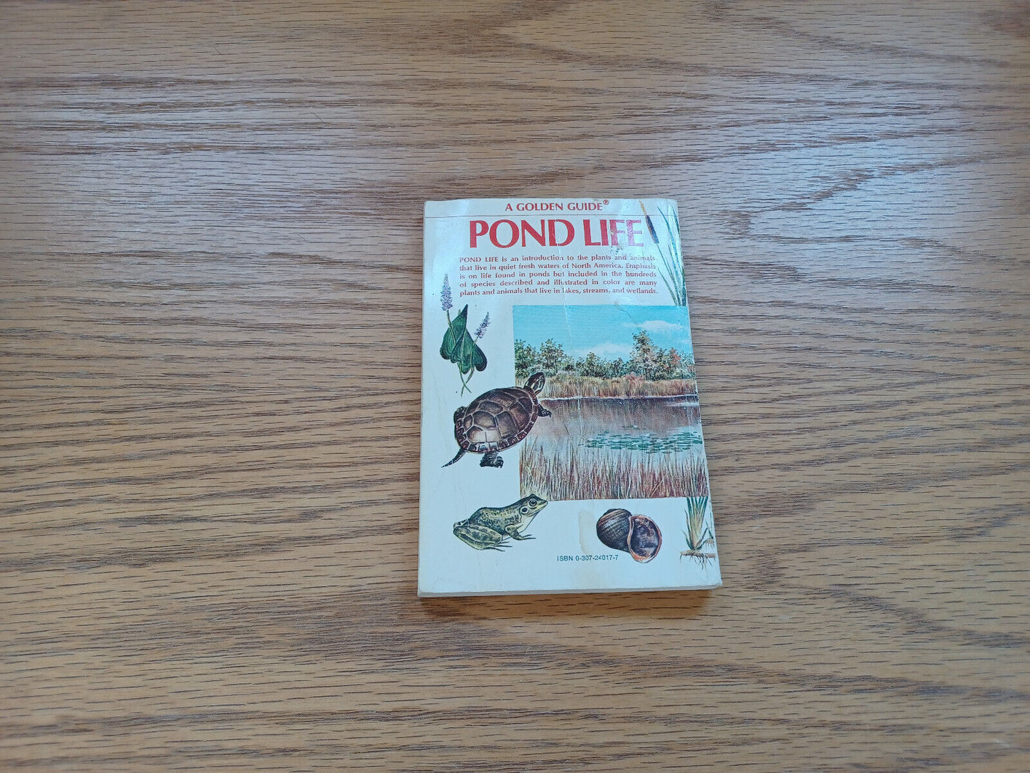 Pond Life North American Ponds And Lakes George K Reid 1967