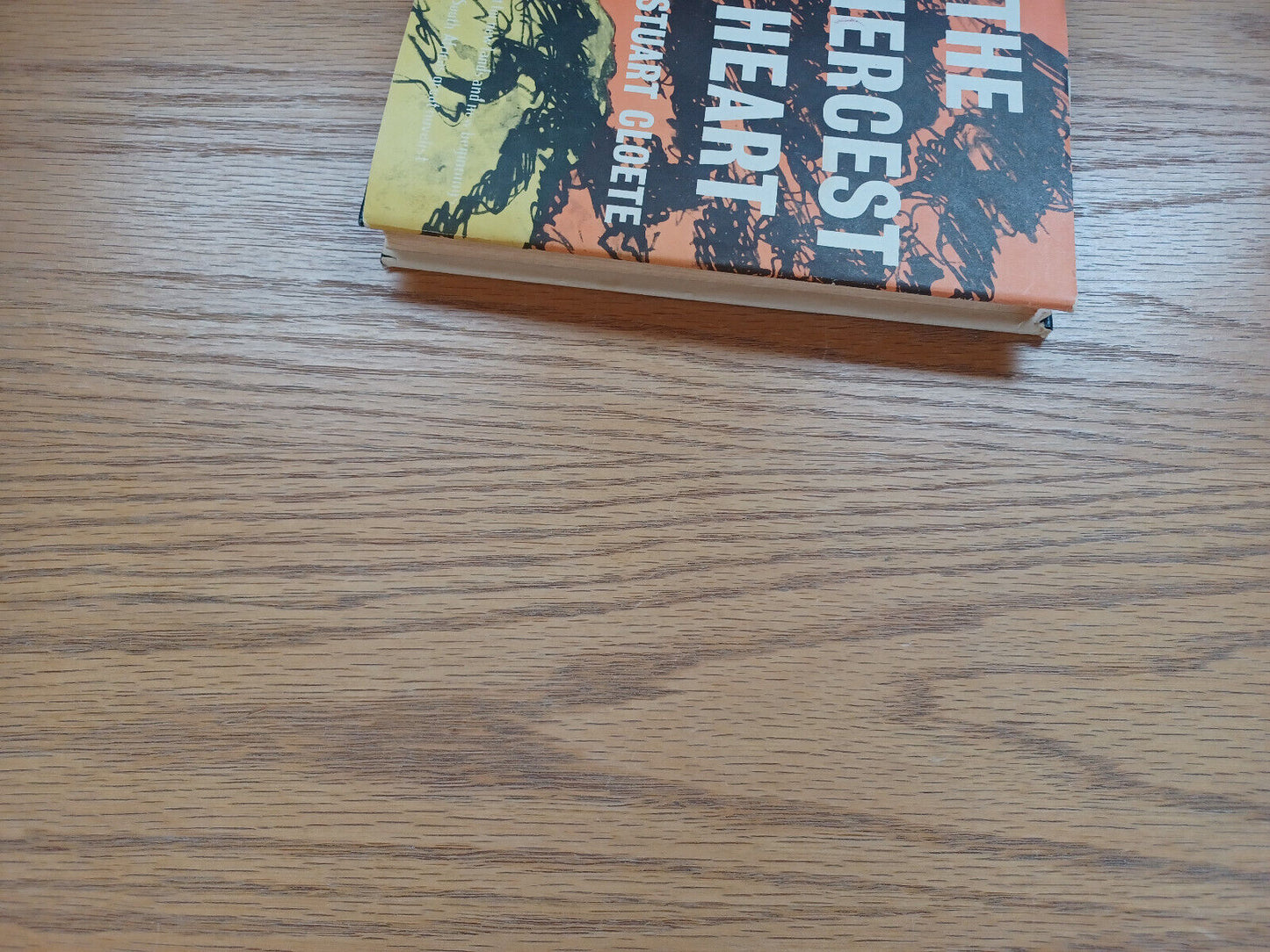 The Fiercest Heart Book Club Edition Dust Jacket Stuart Cloete