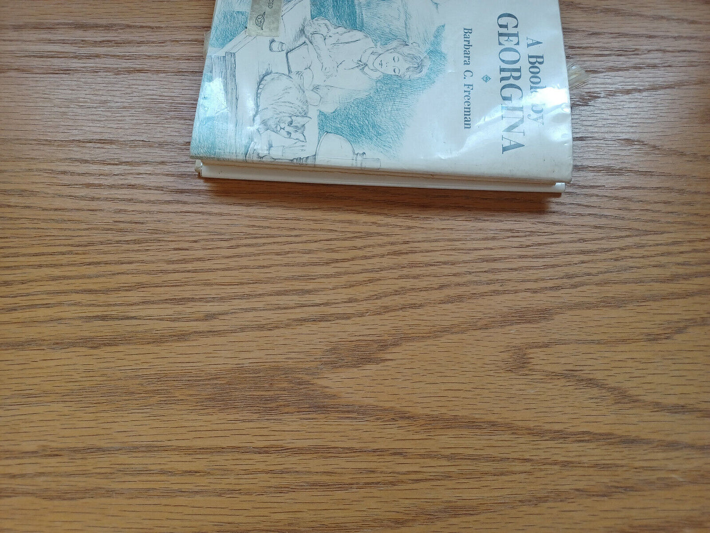 A Book By Georgina By Barbara Freeman 1962 Dust Jacket
