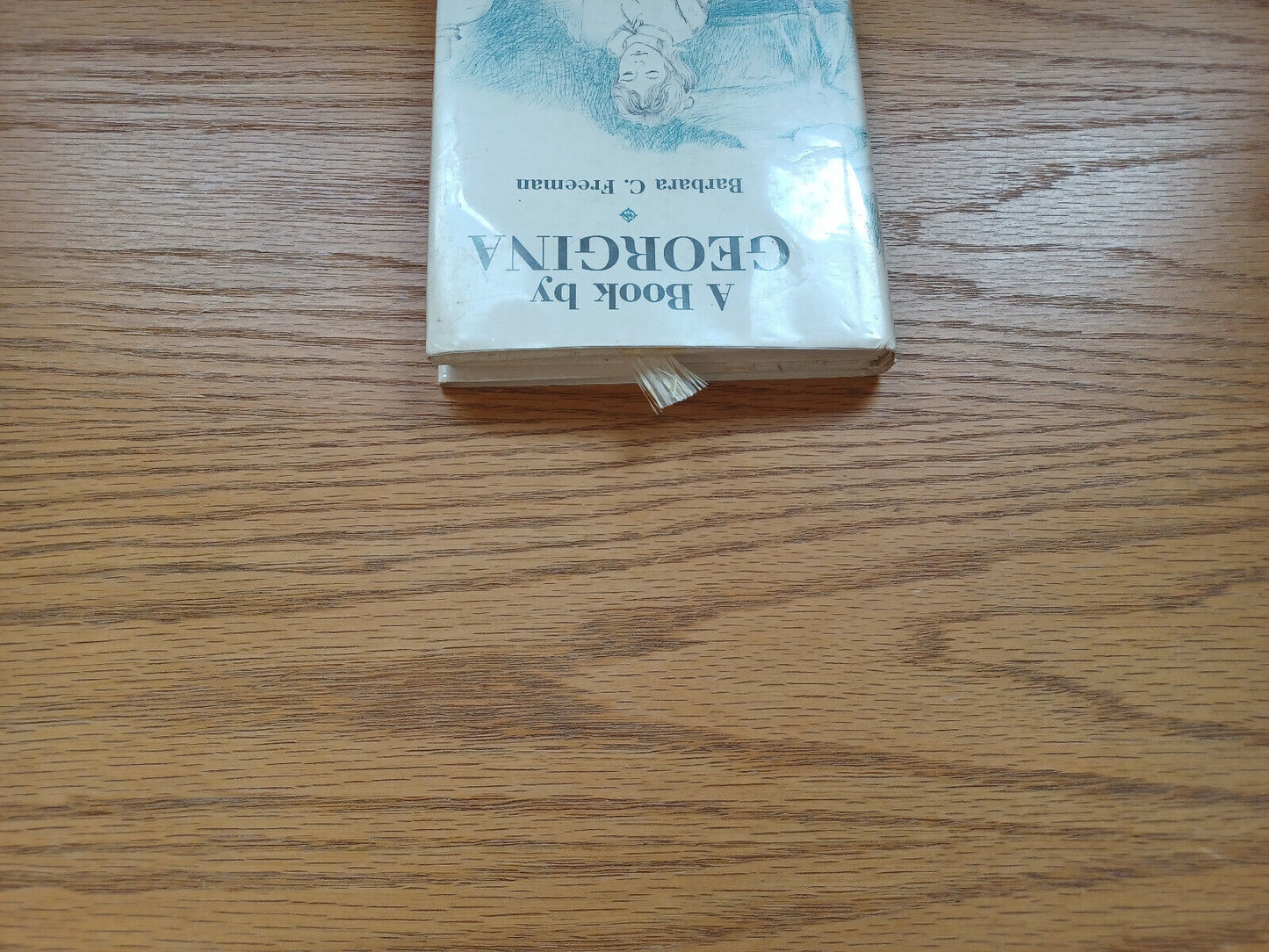 A Book By Georgina By Barbara Freeman 1962 Dust Jacket