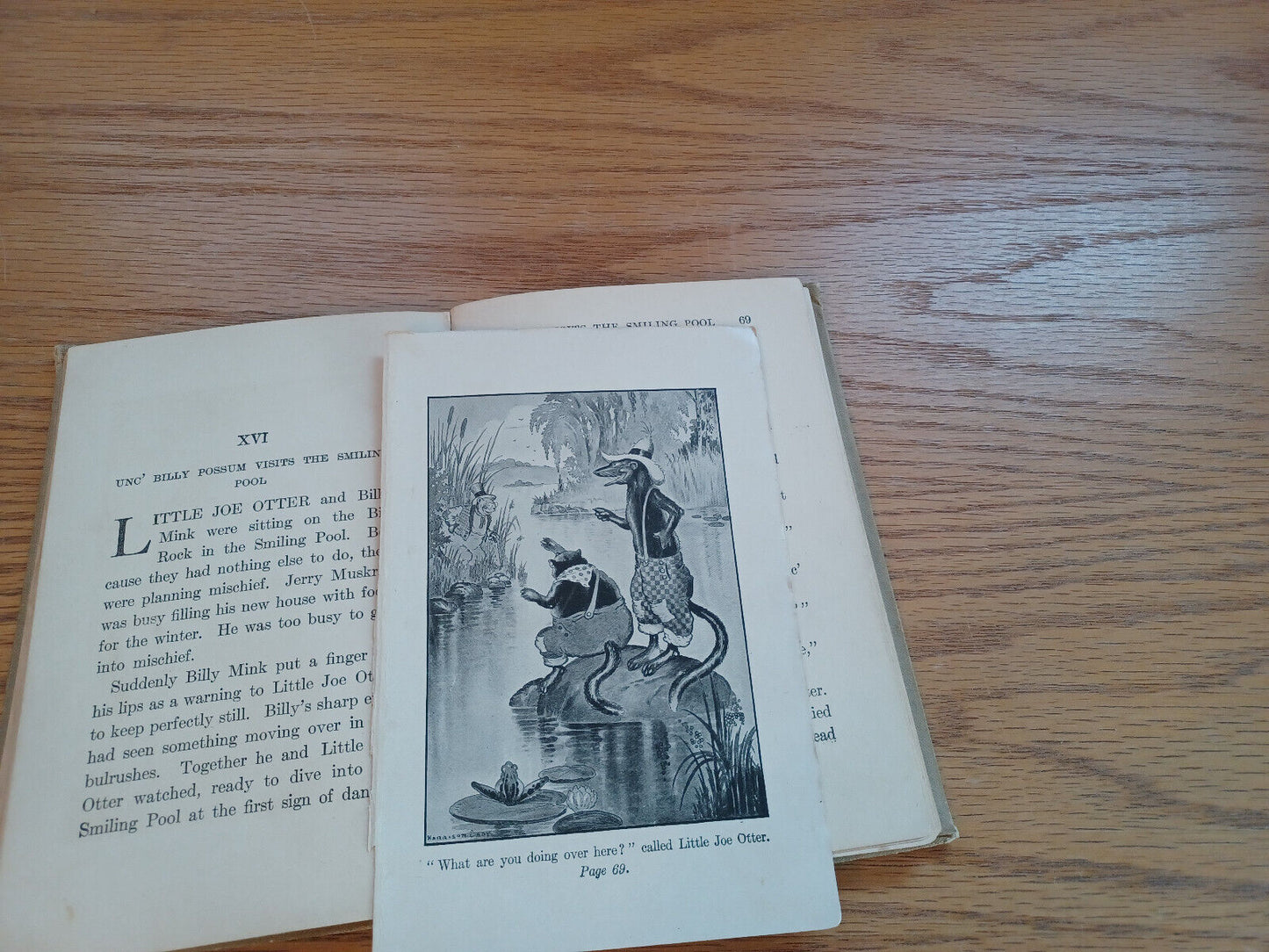 The Adventures Of Reddy Fox By Thornton Burgess 1918