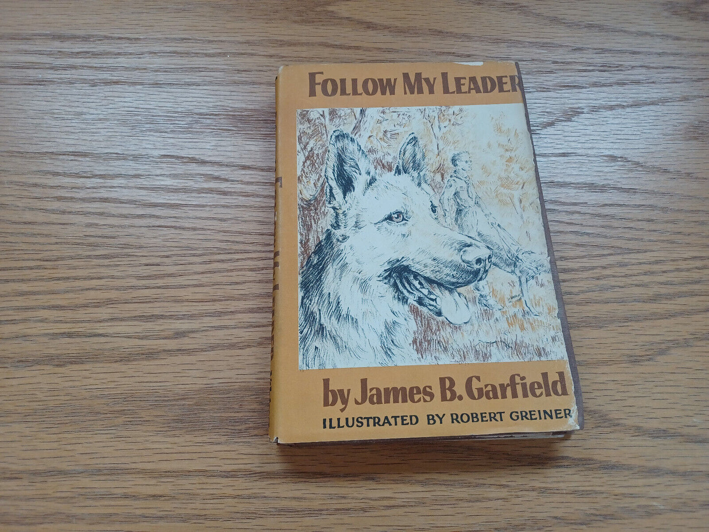 Follow My Leader James B Garfield 1958 Dust Jacket Weekly Reader