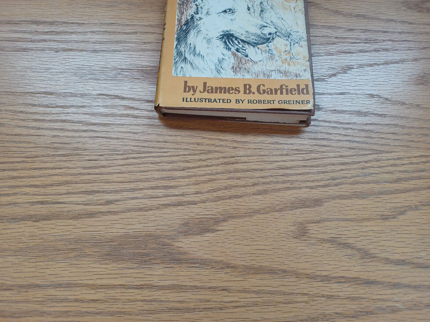 Follow My Leader James B Garfield 1958 Dust Jacket Weekly Reader