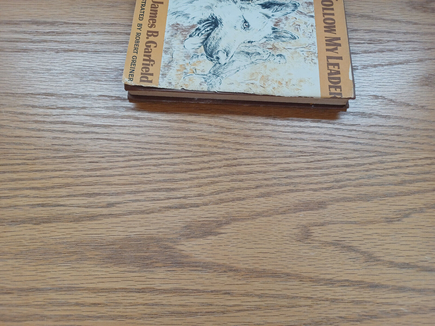 Follow My Leader James B Garfield 1958 Dust Jacket Weekly Reader