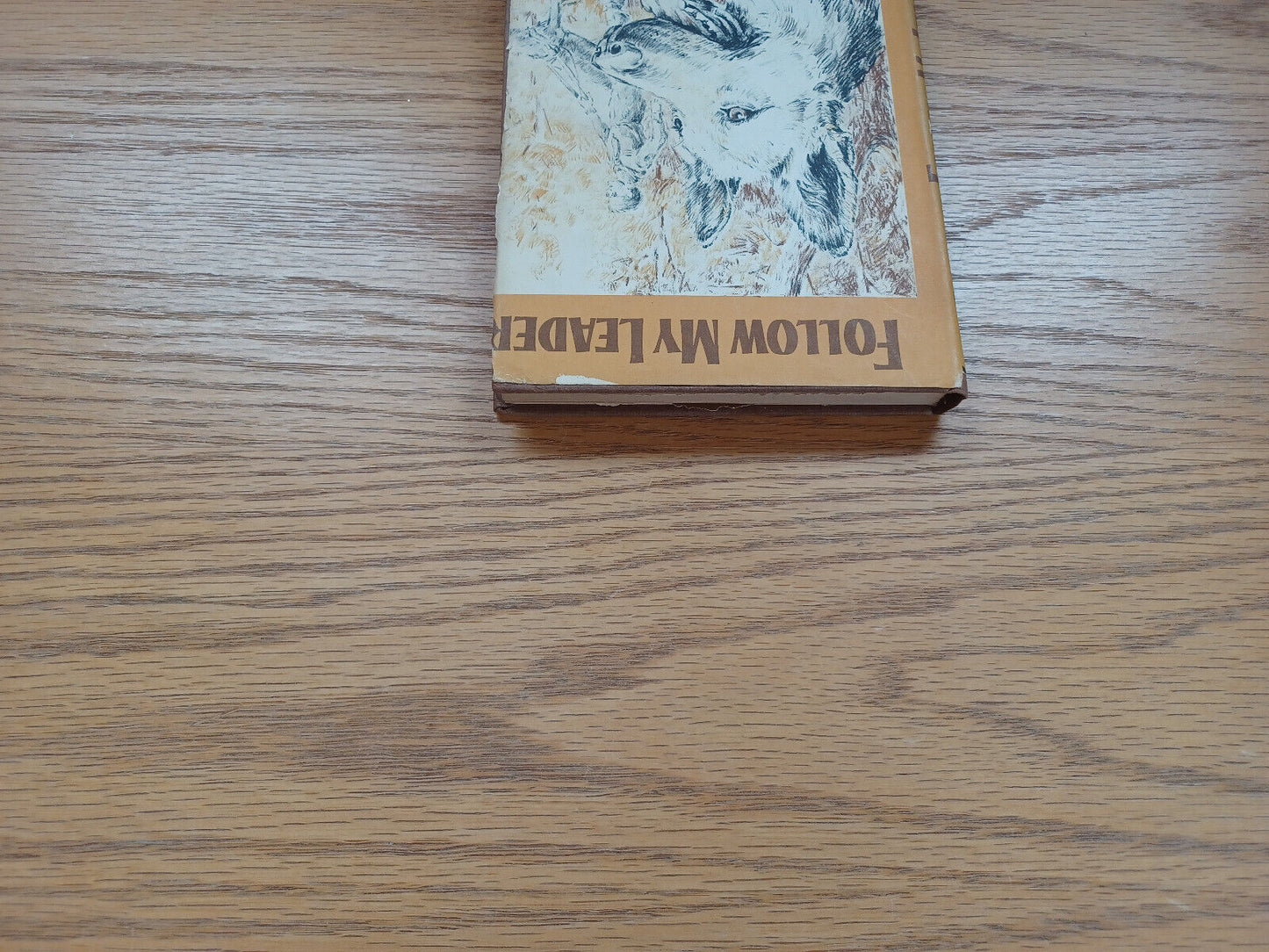 Follow My Leader James B Garfield 1958 Dust Jacket Weekly Reader