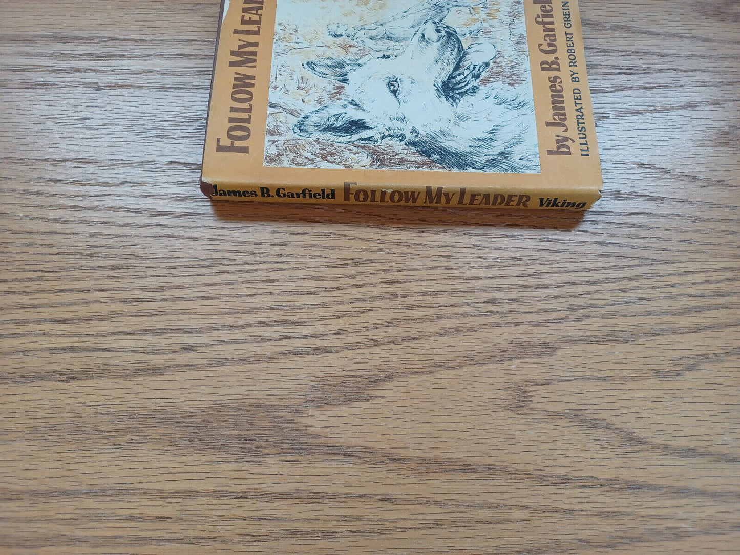 Follow My Leader James B Garfield 1958 Dust Jacket Weekly Reader