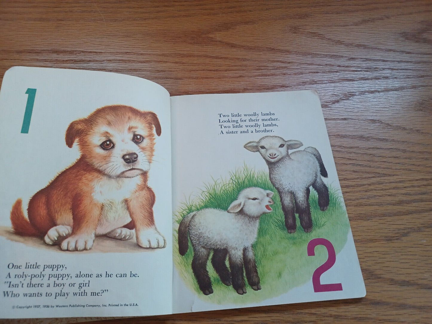 My First Counting Book By Lilian Moore 1957