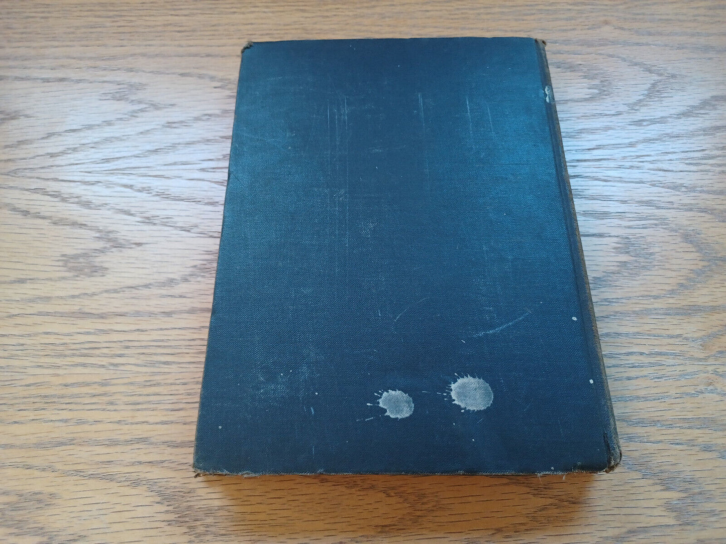A Child'S Garden Of Verses Robert Louis Stevenson 1905 Illustrated