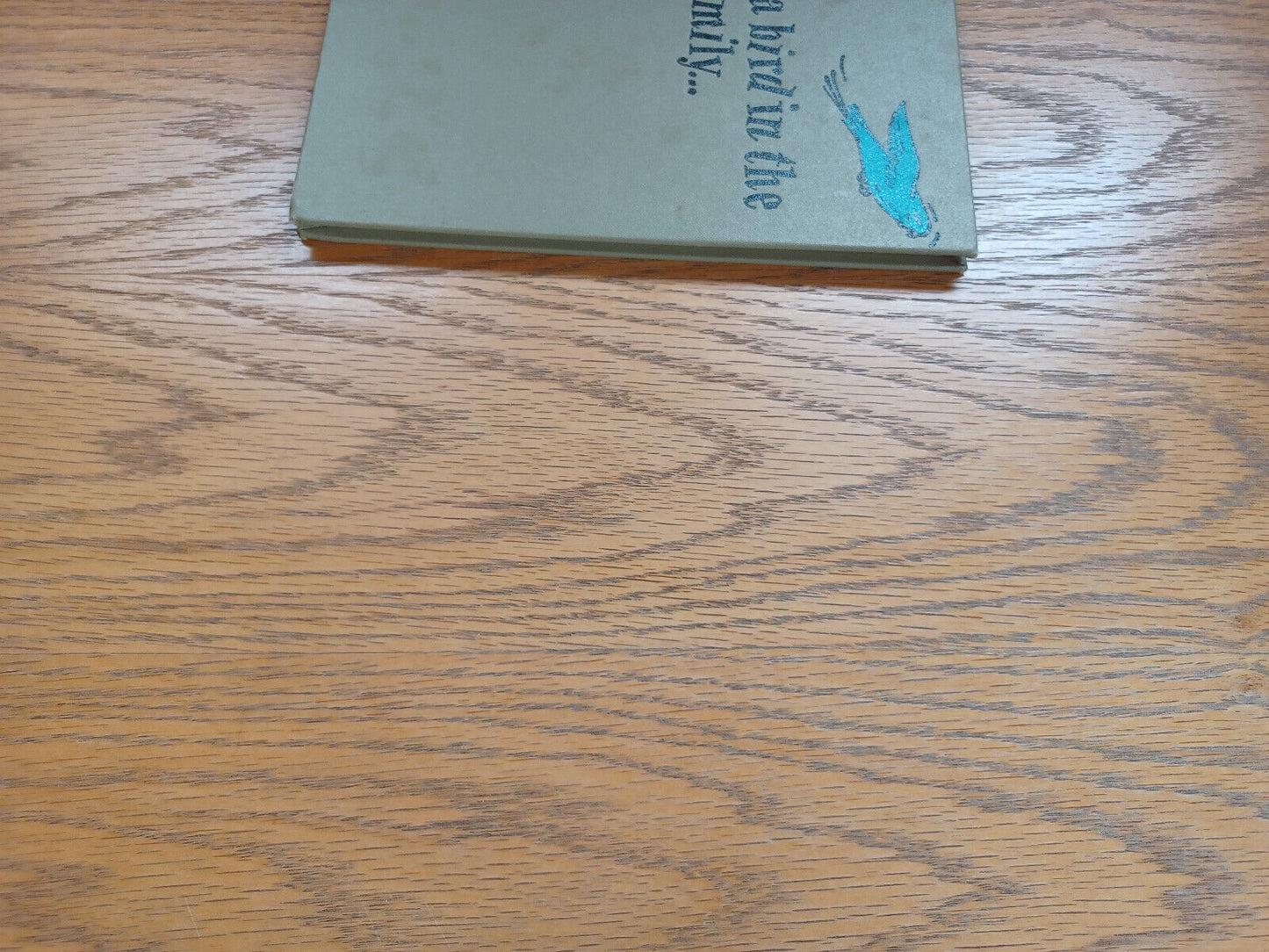 A Bird in the Family Barbara Brenner 1962 Hardcover Young Scott Books