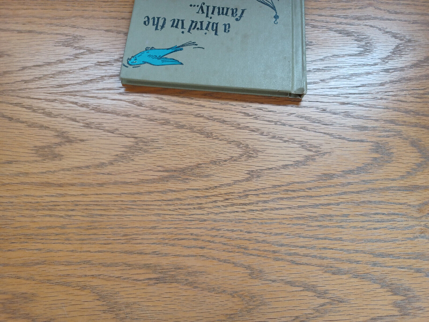 A Bird in the Family Barbara Brenner 1962 Hardcover Young Scott Books