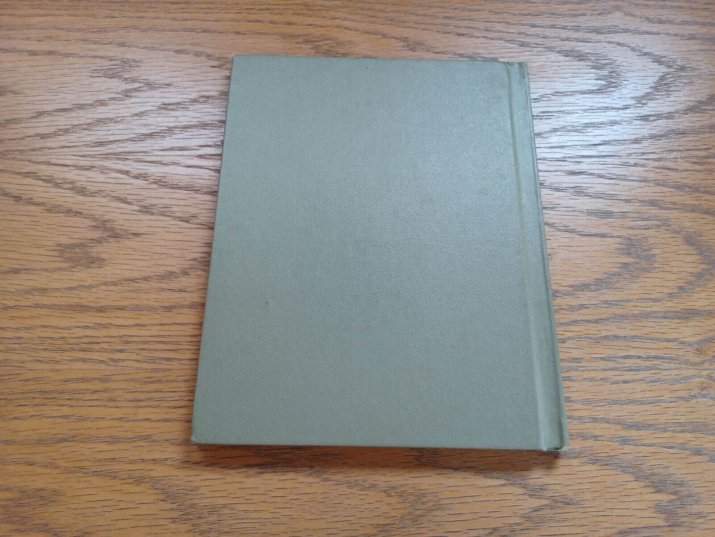 A Bird in the Family Barbara Brenner 1962 Hardcover Young Scott Books