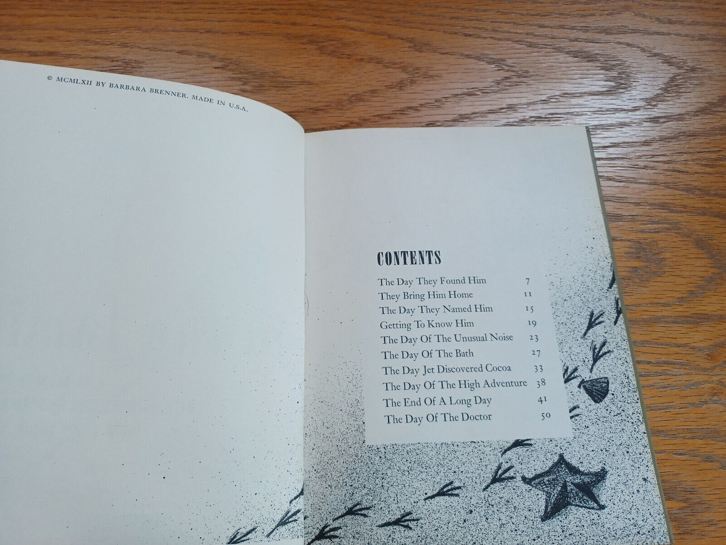 A Bird in the Family Barbara Brenner 1962 Hardcover Young Scott Books
