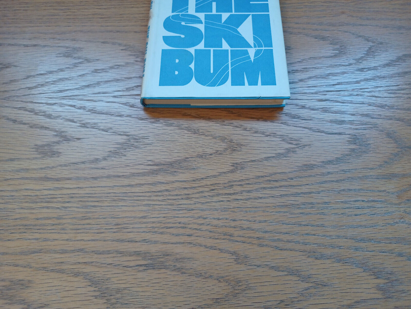 The Ski Bum Romain Gary 1965 Book Club Edition Dust Jacket