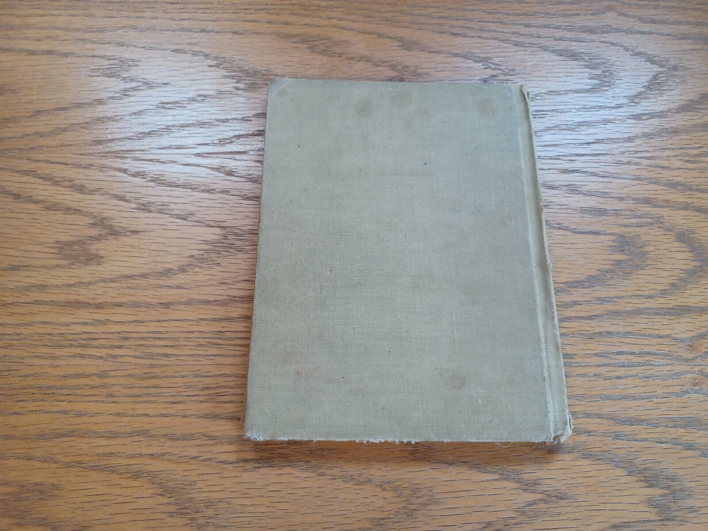 Jerry Goes on a Picnic Florence Battle 1952 Hardcover Beckley Cardy