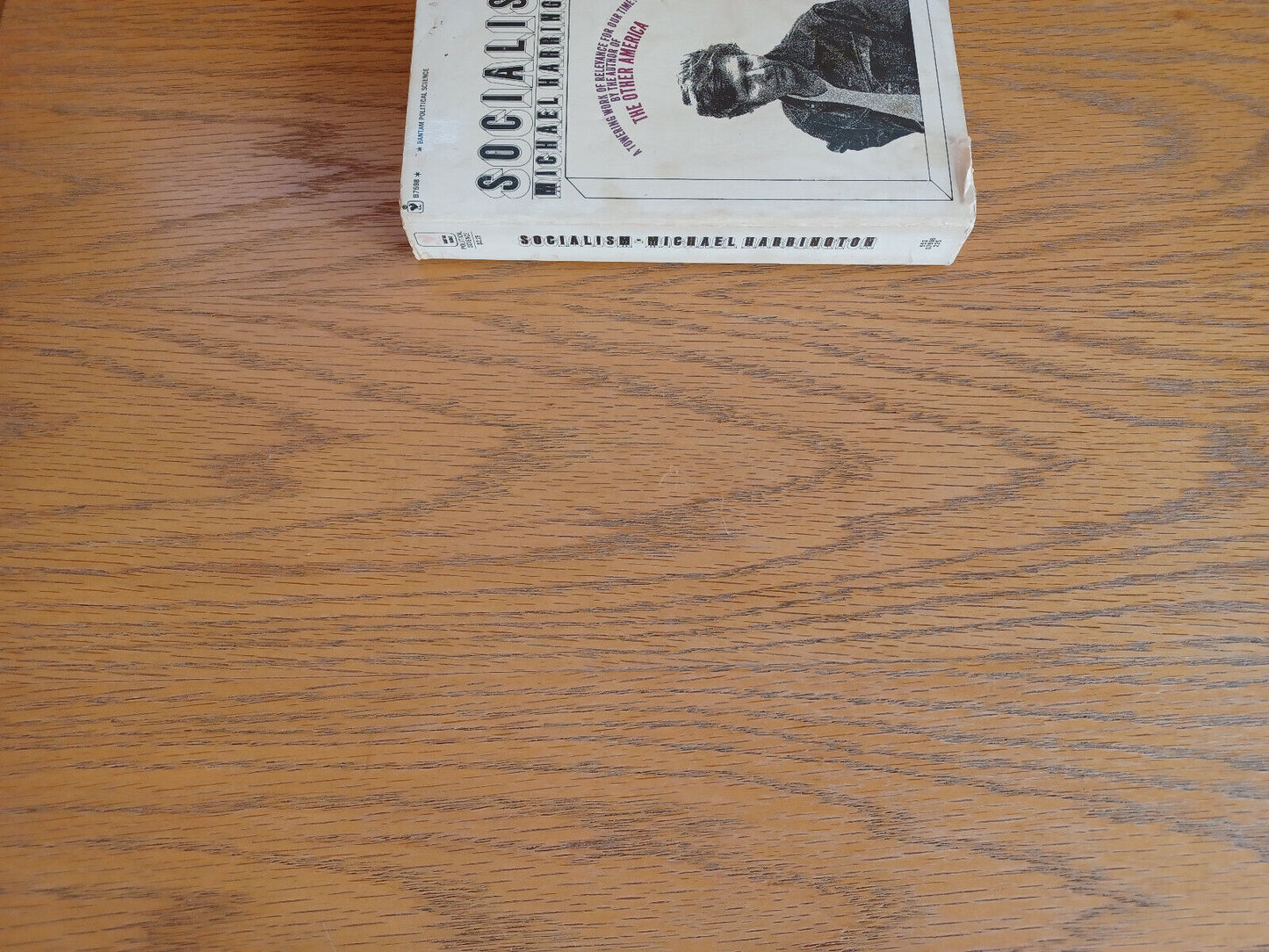 Socialism Michael Harrington 1973 Bantam Books Paperback