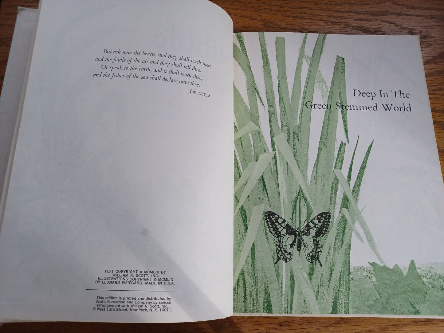Nibble Nibble Margaret Wise Brown 1959 Hardcover Scott Foresman