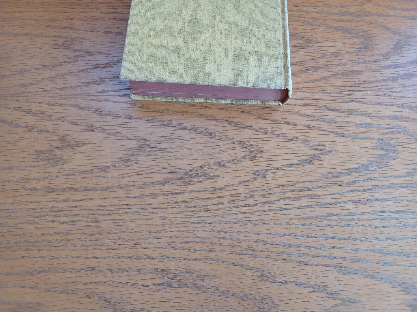 The Donkey Inside Ludwig Bemelmans 1941 Hardcover Viking Press